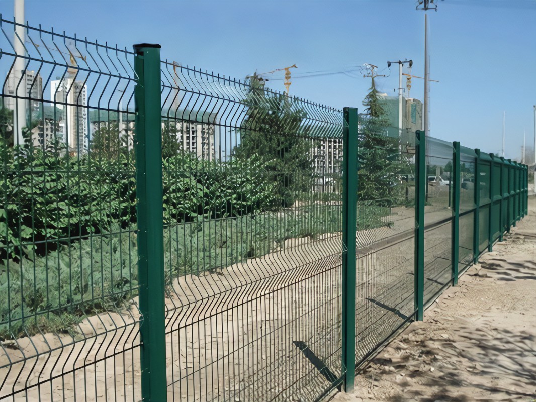 R-C (17).jpg R-C (17).jpg